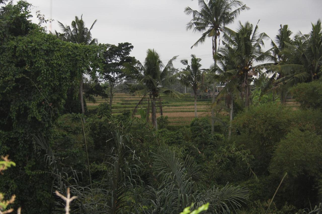 Ogek Home Stay Ubud Exterior foto